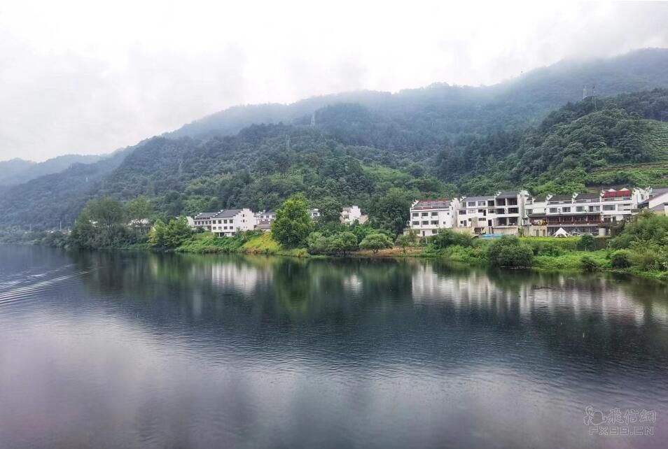 人民网三评“禁食野味”之一：管不住嘴，就会要命
